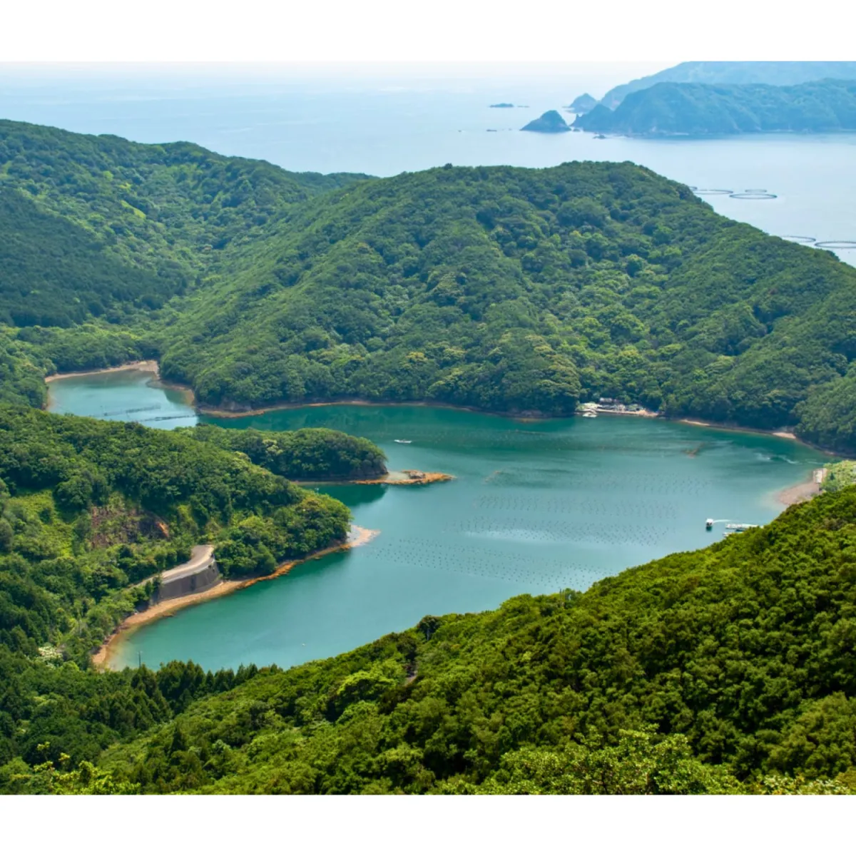 緑の山に囲まれた入り江と海